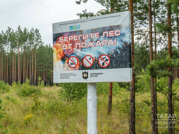 В Татарстане режим высокой пожарной опасности лесов продлится до 15 октября