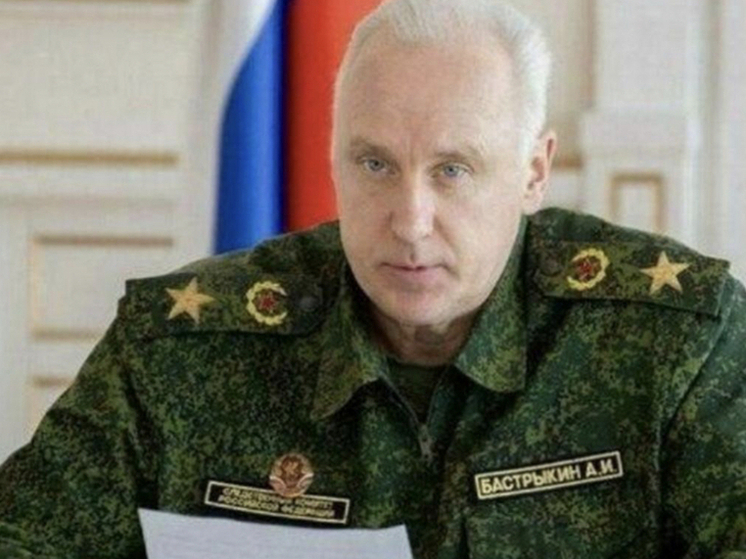 Бастрыкин отреагировал на историю с бандой, втягивавшей новосибирских детей в кражи