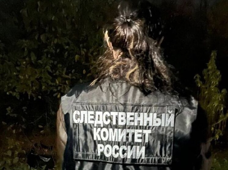 Под Воронежем сельчанин зарубил топором своего приятеля