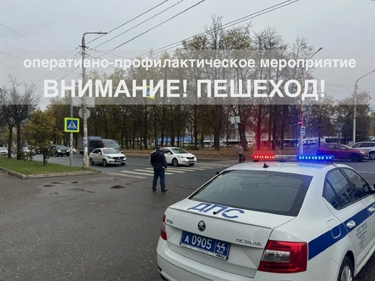 Костромское ГИБДД ближайшие три дня будет присматривать за пешеходами
