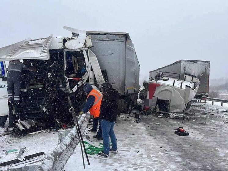 В Магдагачинском районе столкнулись грузовики «Скания» и «МАН»