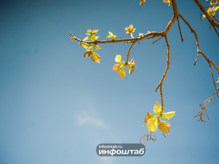 Терапевт рассказала, как победить осеннюю хандру и вернуть радость жизни