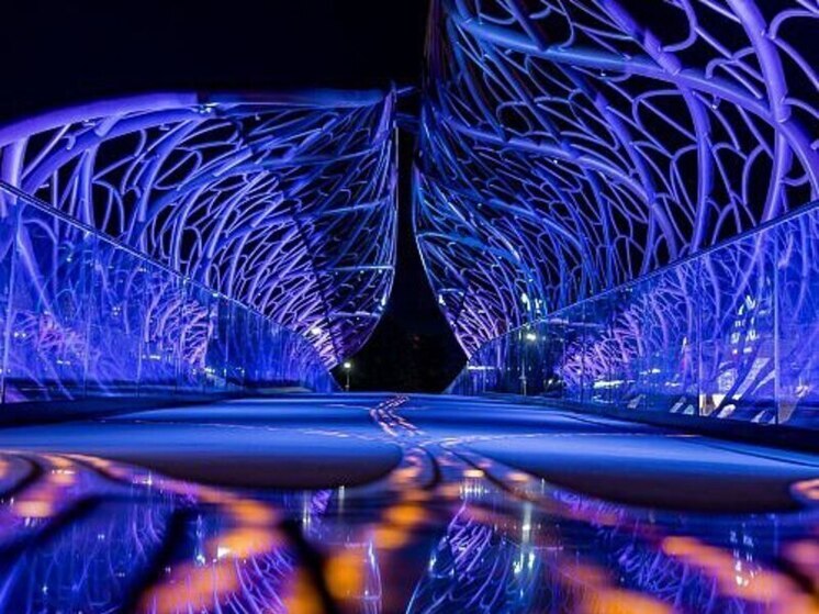 Сочинский мост «Волшебный лист» вошёл в финал конкурса «Российский светодизайн-2025»