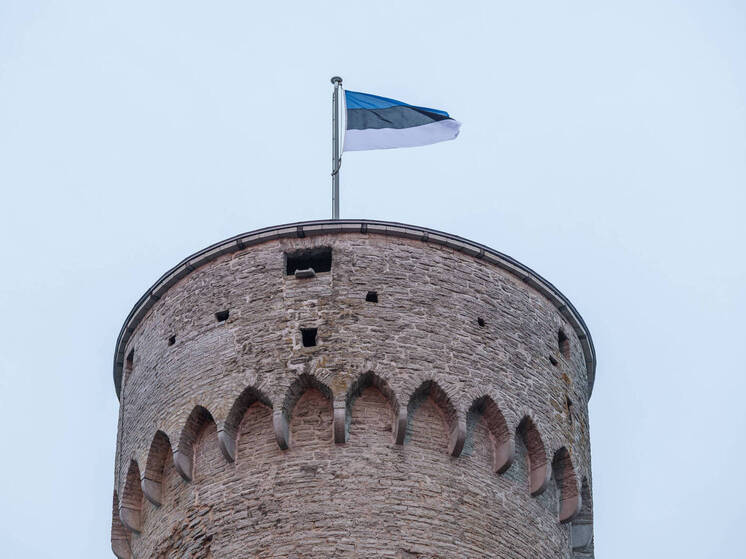 В Эстонии решили построить новые заводы по производству ракет и мин