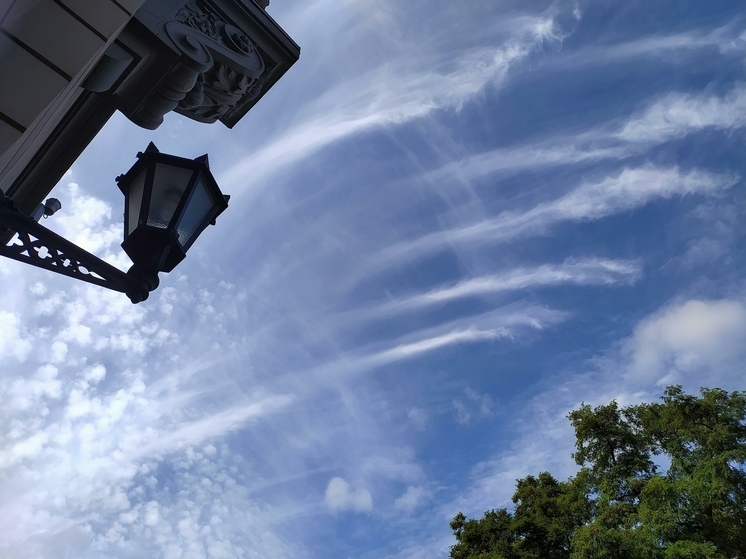 Воздушное пространство Латвии на границе с Россией будут закрывать по ночам до воскресенья