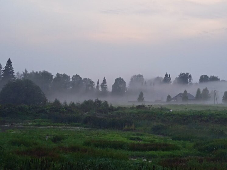 Телефоны семьи Усольцевых последний раз были в сети в районе скал во время метели