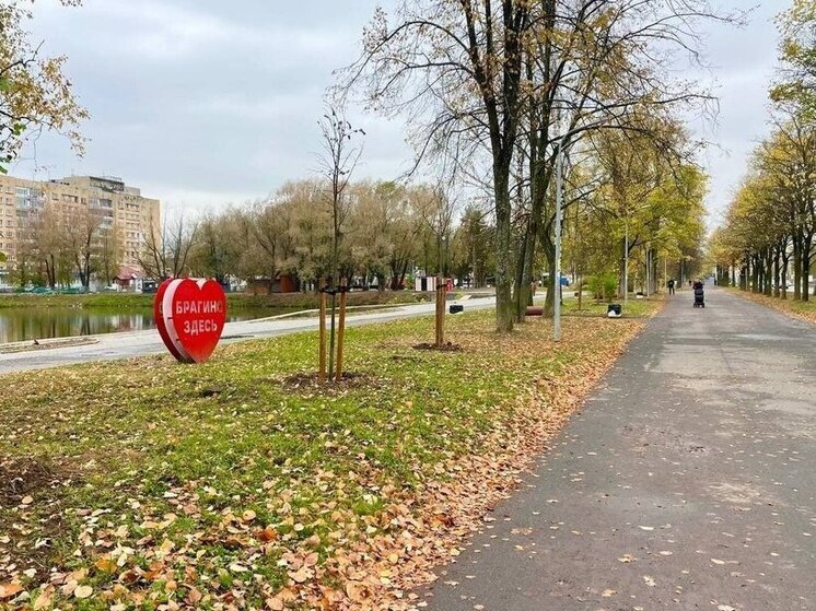 В ярославском парке высадили новые деревья