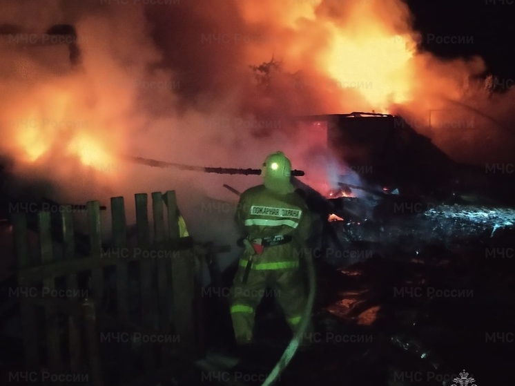 При пожаре в свердловском селе Колюткино погиб человек