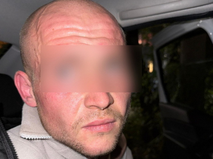 В Марий Эл задержан курьер, передававший мошенникам деньги пенсионеров