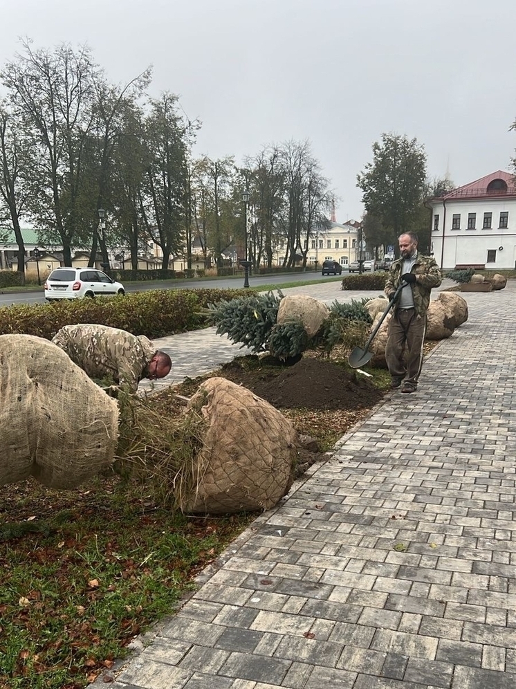 В Суздале продолжается обновление зеленых зон