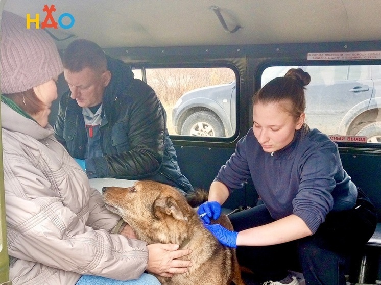 За день в НАО вакцинировали 90 собак и 22 кошки