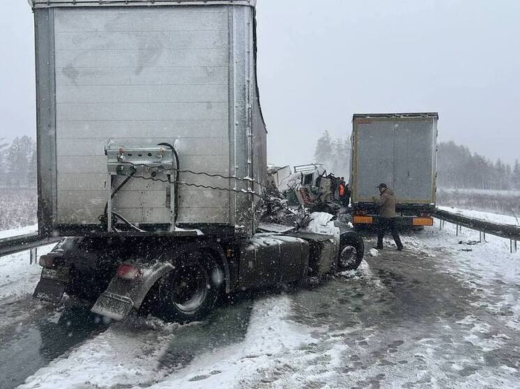 Три человека погибли и пять пострадали в ДТП в Амурской области 7 октября