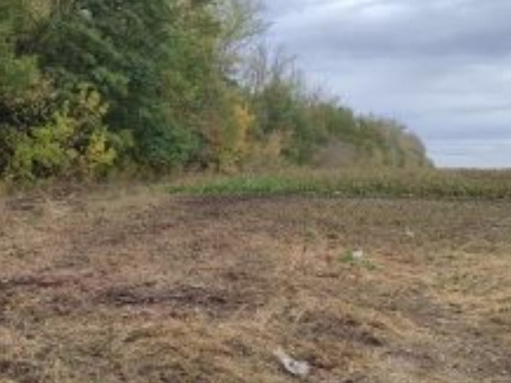 Свалку в Курской области устранили по предостережению Россельхознадзора