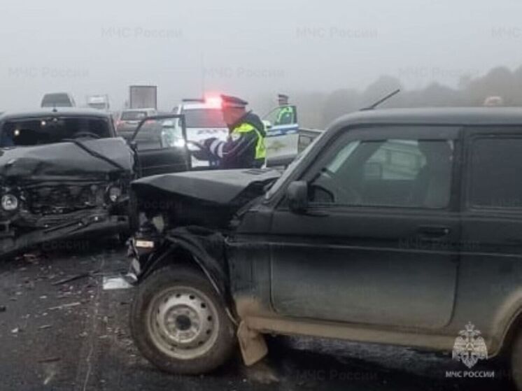Две Lada Niva столкнулись в Бабынинском районе