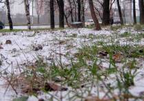 Нынешняя осень оказалась такой же благосклонной к жителям столичного региона, как и прошлогодняя