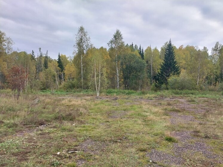 С подачи прокуратуры близ села Чаинск ликвидировали свалку площадью в 450 "квадратов"