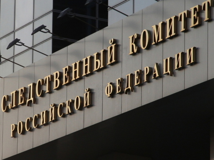 Жители карельского поселка обратились к главе Следственного комитета с жалобами на оторванность от цивилизации