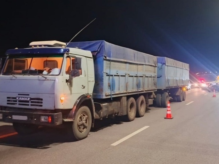Двое малышей пострадали в ДТП с КамАЗом на М-4 «Дон» в Воронежской области