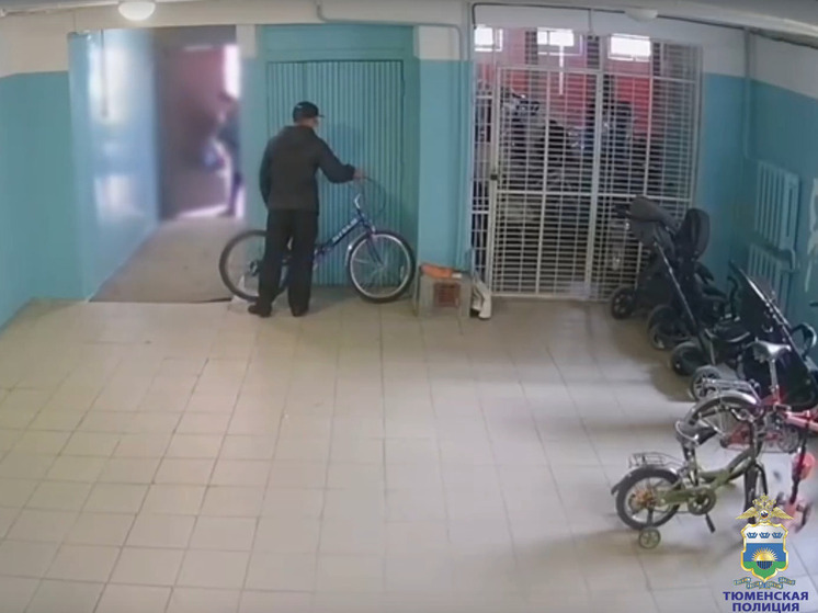 В Тобольске раскрыта кража велосипеда