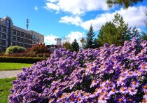 В селе Краснореченском, что с южной стороны граничит с Хабаровском (через район Красная речка), есть одно чудесное место, в простонародье именуемое Заимкой