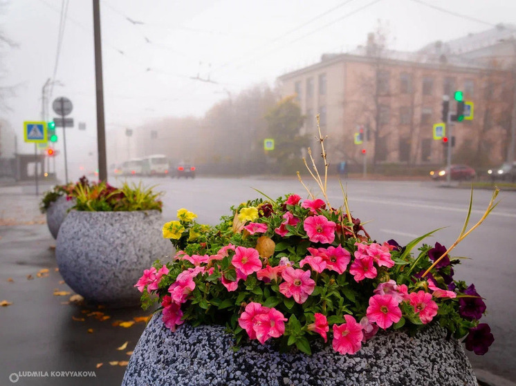 В Карелии определены объекты для обустройства в следующем году
