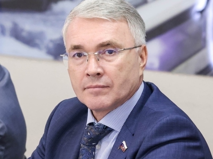 В Госдуме в первом чтении одобрили законопроект о поддержке НКО, помогающим ветеранам СВО