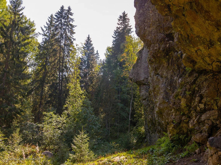 На горе Сампо под Петрозаводском установлен саамский чум