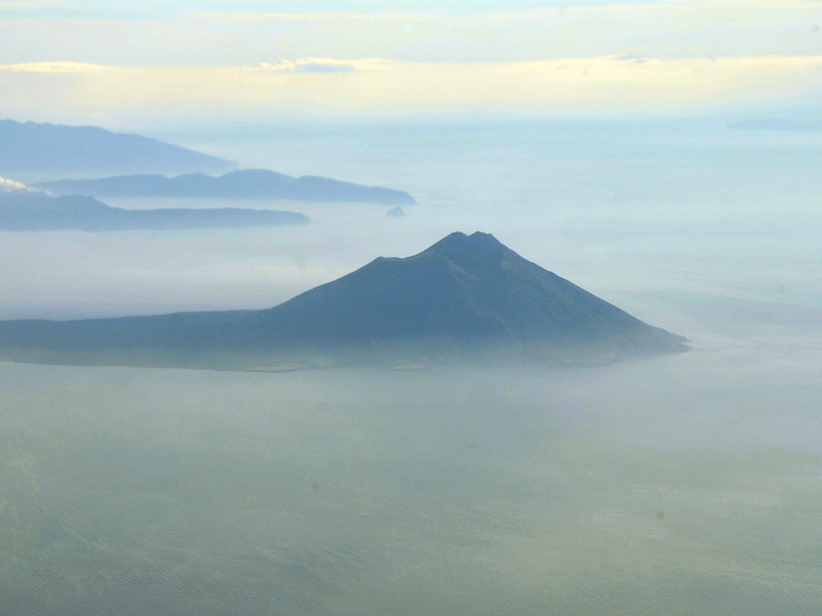 У берегов Сахалина стали часто попадаться тунцы-гиганты