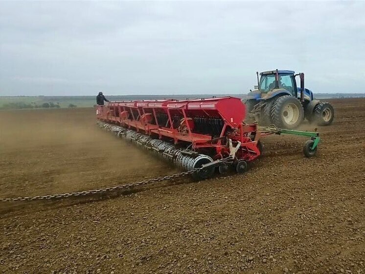 В Будённовском округе стартовал сев озимых культур под урожай 2026 года