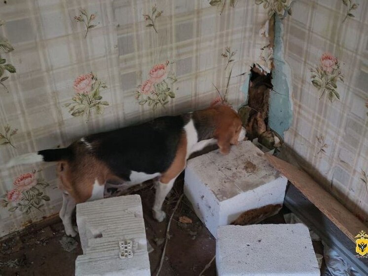 У жителя Херсонской области обнаружили наркотики