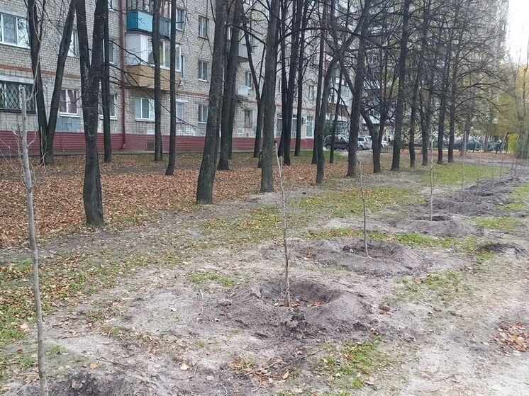 В Тюмени вандалы уничтожили деревья, высаженные школьниками у пруда Утиного