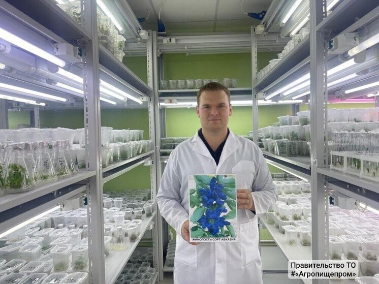 Ученые из Мичуринска вывели уникальный сорт жимолости