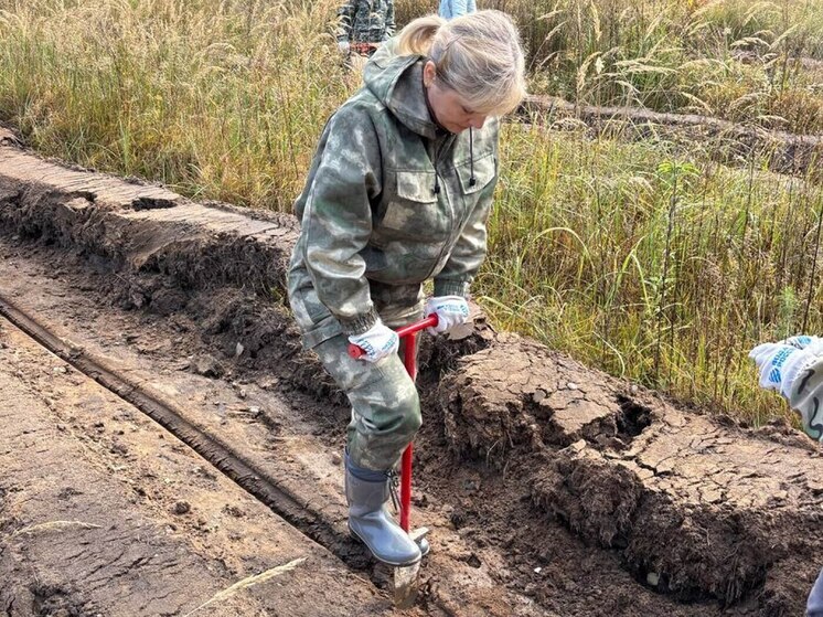 В козельских лесах посадили 3000 елей