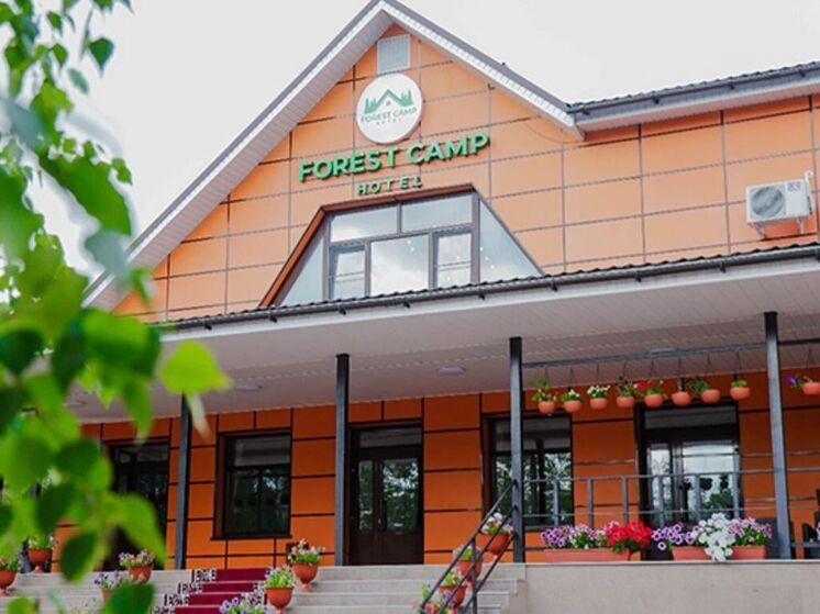 Forest Camp: возвращение к истокам