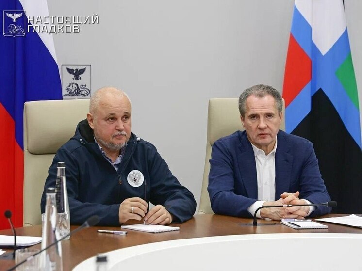 Вячеслав Гладков подвел итоги встречи с министром энергетики РФ