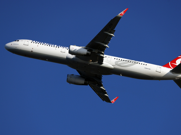 Мохов: для получения компенсации пассажирам Turkish Airlines нужно обращаться к авиаперевозчику