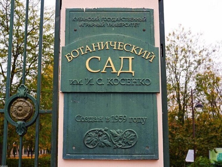 Ботанический сад Краснодара временно закроют из-за непогоды