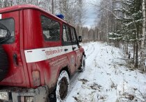 Приоритетной версией пропажи семьи Усольцевых в Красноярском крае остается несчастный случай