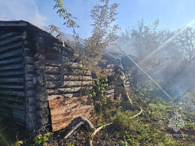Пожарные спасли от горящей заброшки 12 автомобилей и дом в Аше
