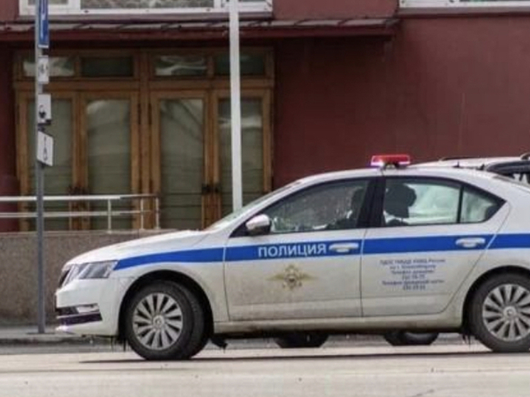 В Новосибирске школьницы подрались в Октябрьском районе: полиция передала материалы в СК