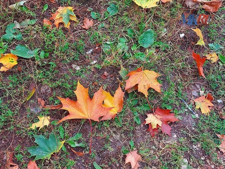 Синоптики обещают калужанам небольшие дожди