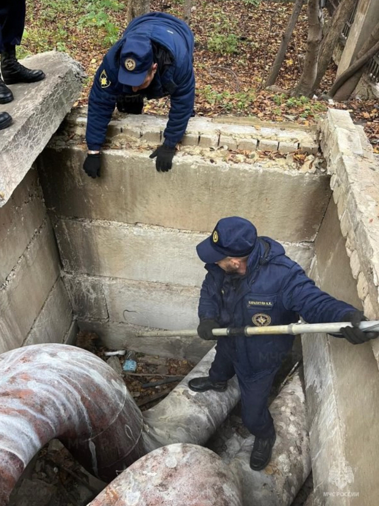 В Орле на Октябрьской спасатели помогли застрявшему в яме псу