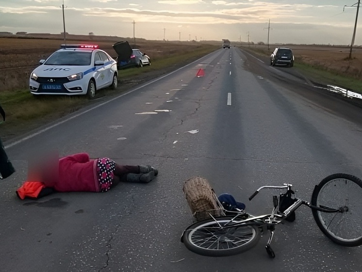 На 16-м км дороги Кугеси—Атлашево пострадала велосипедистка