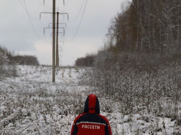 Энергетики перешли в режим повышенной готовности из-за непогоды в Новосибирске