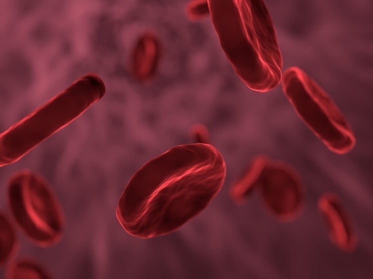 Говорит ли ваша группа крови о дворянском происхождении? Разбираем все мифы и правду