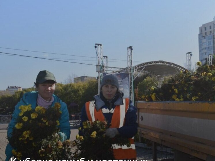 В Хабаровске начали убирать клумбы и цветочные конструкции к зиме