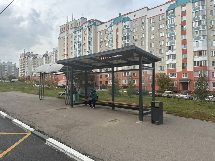 В Орле на Раздольной установили «непродуваемые» новые остановочные павильоны
