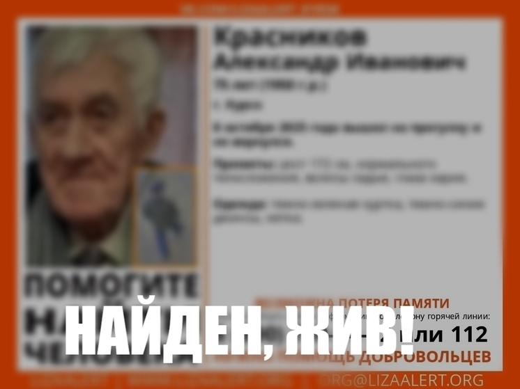 В Курске прекращены поиски пропавшего 75-летнего мужчины