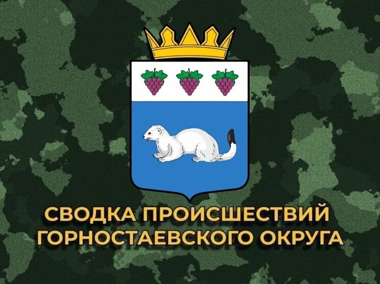За сутки боевики ВСУ 15 раз обстреляли Горностаевский округ