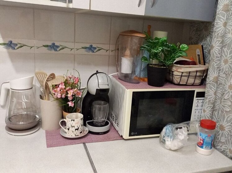 «Мне нужнее»: в Рубцовске мужчина украл у соседки микроволновку